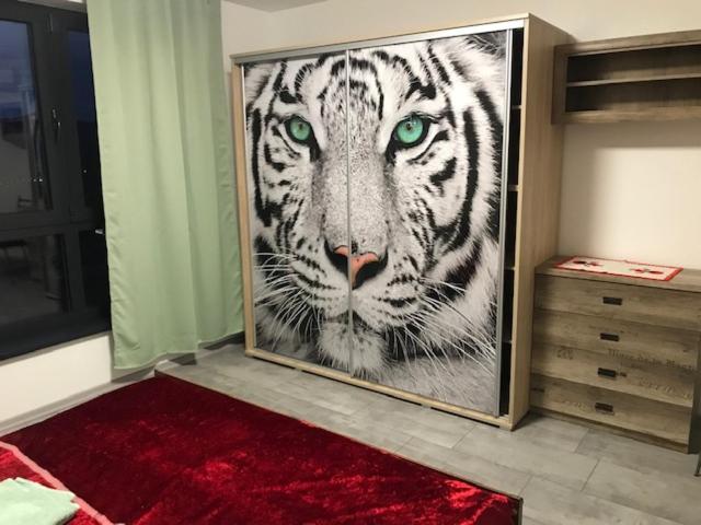 Mezadler Apartman Kassa Kültér fotó